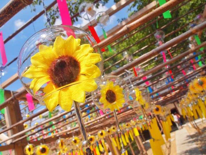 😊みんなと画像で会話したい👍