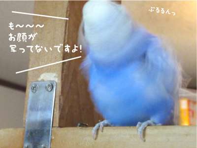 😊みんなと画像で会話したい👍