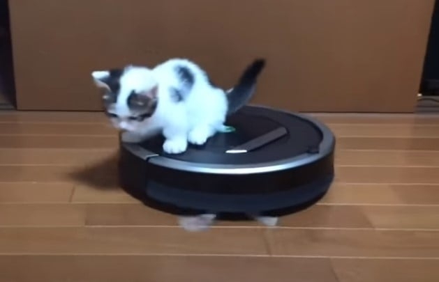欲しい物を語ったら、皆で否定して全力で止めるトピ！