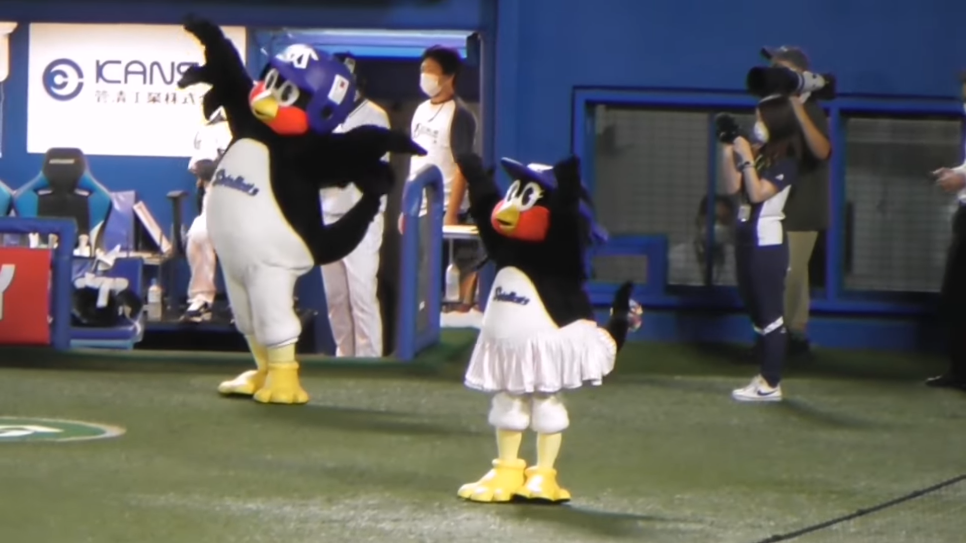【主は】つば九郎について知ってること【にわか】      