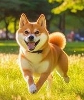  【画像トピ】絶対買わないけど、ちょっと欲しくなる商品！Part2