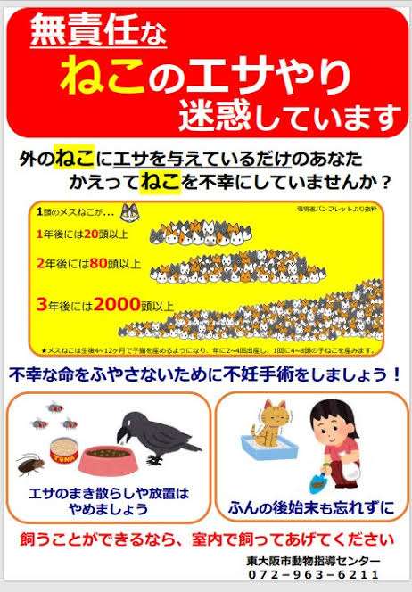 【義両親】野良猫の餌付け【近所迷惑】