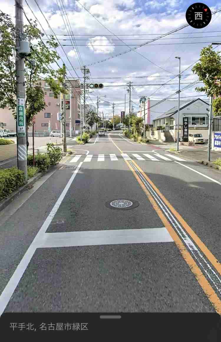 6歳女の子と散歩中…愛犬ポメラニアンが車にはねられ死んだ事故 走り去ったとみられる高齢男性を書類送検へ