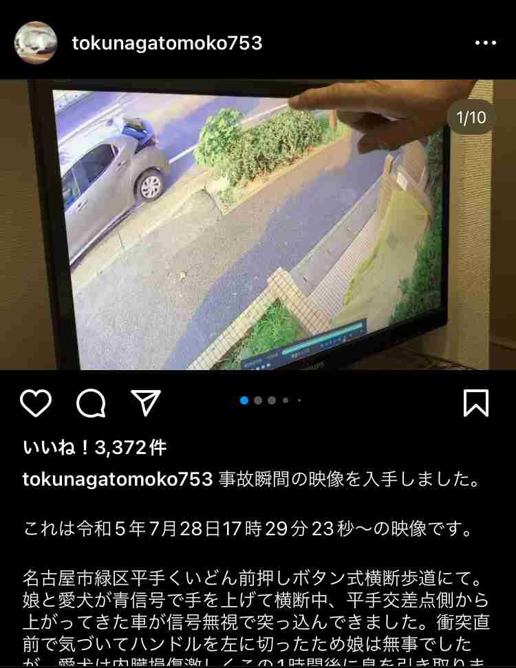 6歳女の子と散歩中…愛犬ポメラニアンが車にはねられ死んだ事故 走り去ったとみられる高齢男性を書類送検へ
