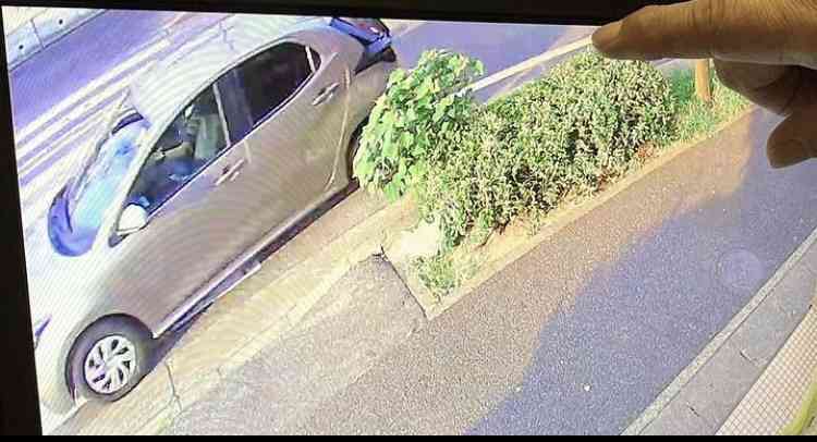 6歳女の子と散歩中…愛犬ポメラニアンが車にはねられ死んだ事故 走り去ったとみられる高齢男性を書類送検へ