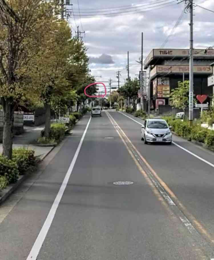 6歳女の子と散歩中…愛犬ポメラニアンが車にはねられ死んだ事故 走り去ったとみられる高齢男性を書類送検へ