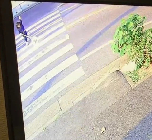 6歳女の子と散歩中…愛犬ポメラニアンが車にはねられ死んだ事故 走り去ったとみられる高齢男性を書類送検へ