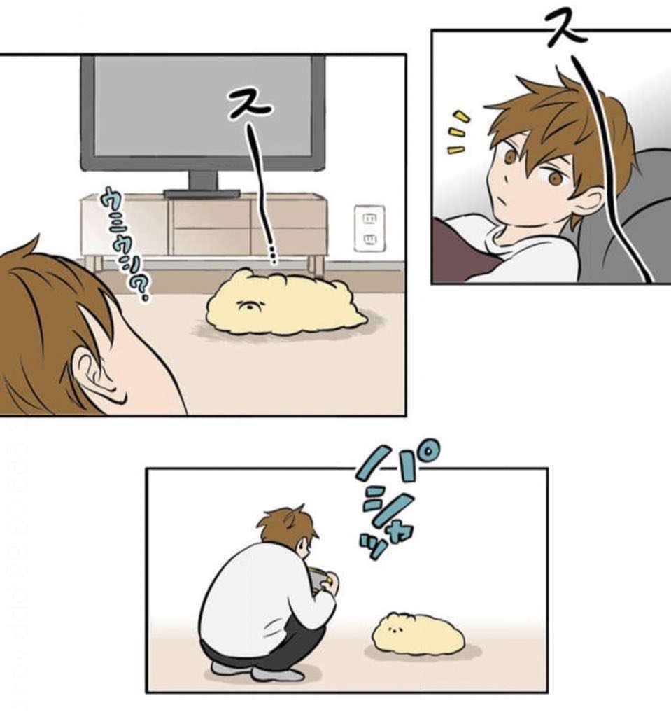 この漫画家さんが描く動物が好き