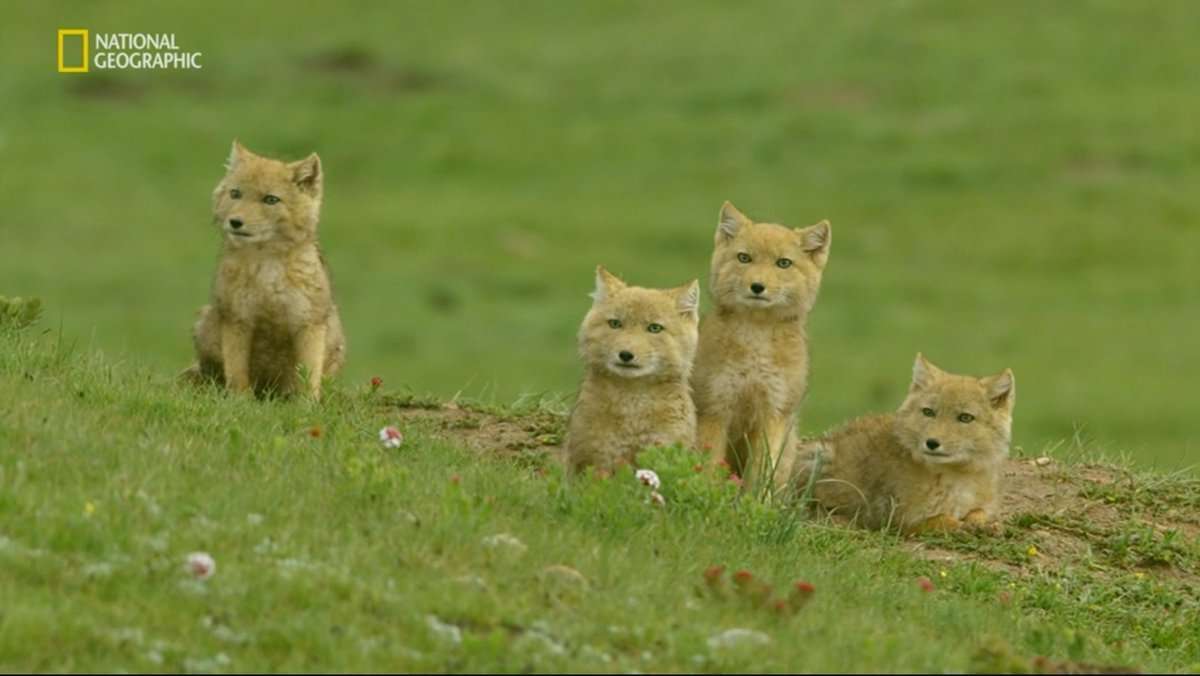 カップ&ソーサーどちらかが割れたらどうしてますか？