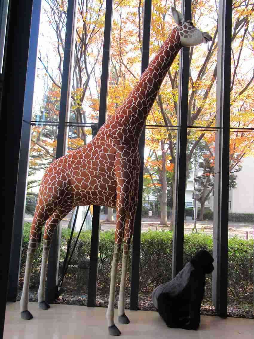 カップ&ソーサーどちらかが割れたらどうしてますか?