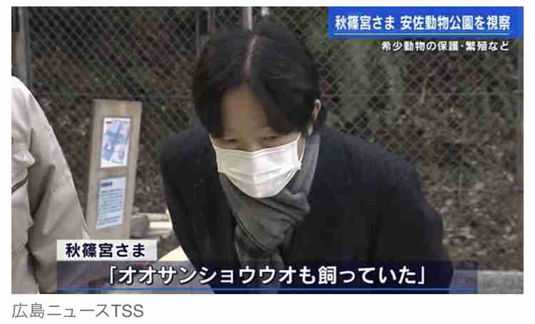 カップ&ソーサーどちらかが割れたらどうしてますか?