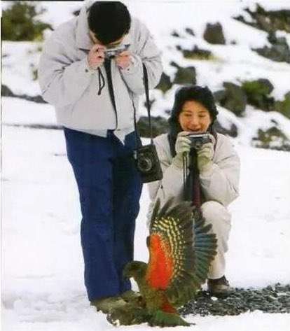 カップ&ソーサーどちらかが割れたらどうしてますか？