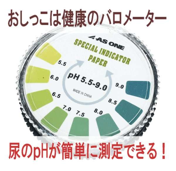 小学5年生が「おしっこの研究2022」で内閣総理大臣賞！「肉ばかり食べるとpHはどうなる」など深掘り研究の裏側に、母の食事サポートも