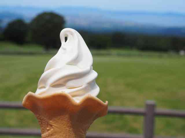 【不味いわけがない】絶対に美味しいであろうメニュー名