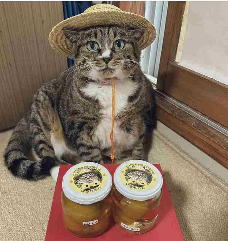 “イケメンすぎる”たまご農家が大バズり　推し活ブームは生産者にも「作り手がかっこいいから買う」女性が急増　JAは困惑気味