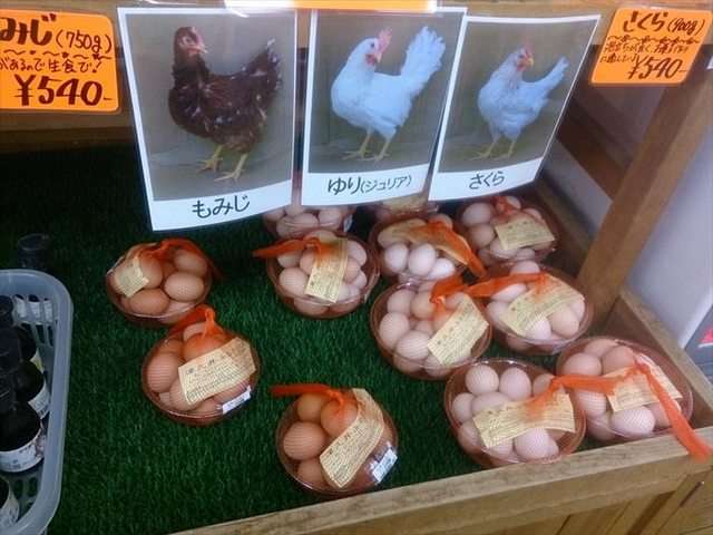 “イケメンすぎる”たまご農家が大バズり　推し活ブームは生産者にも「作り手がかっこいいから買う」女性が急増　JAは困惑気味