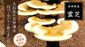 一人暮らし　物件の内見でチェックするところ