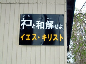 ガザ地区に初「ネコカフェ」開店　空爆続き癒やし求め…イスラム教では「神聖な動物」