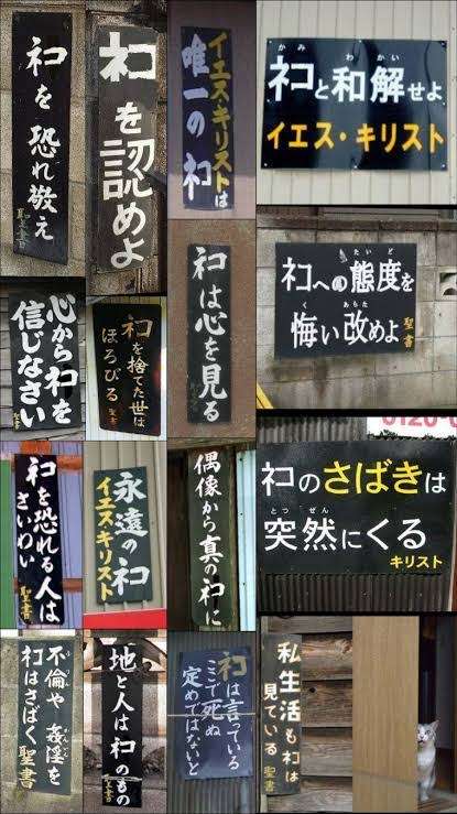 ガザ地区に初「ネコカフェ」開店　空爆続き癒やし求め…イスラム教では「神聖な動物」