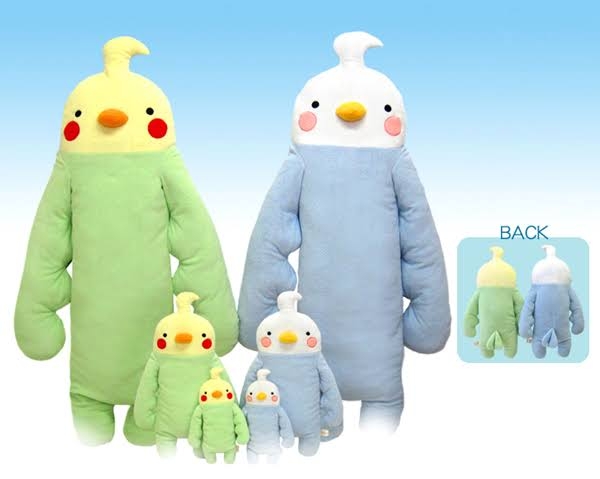 【実はオウム】オカメインコ【チークがお洒落】