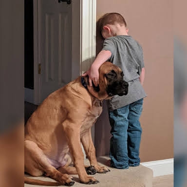 暗い気持ちになる映画