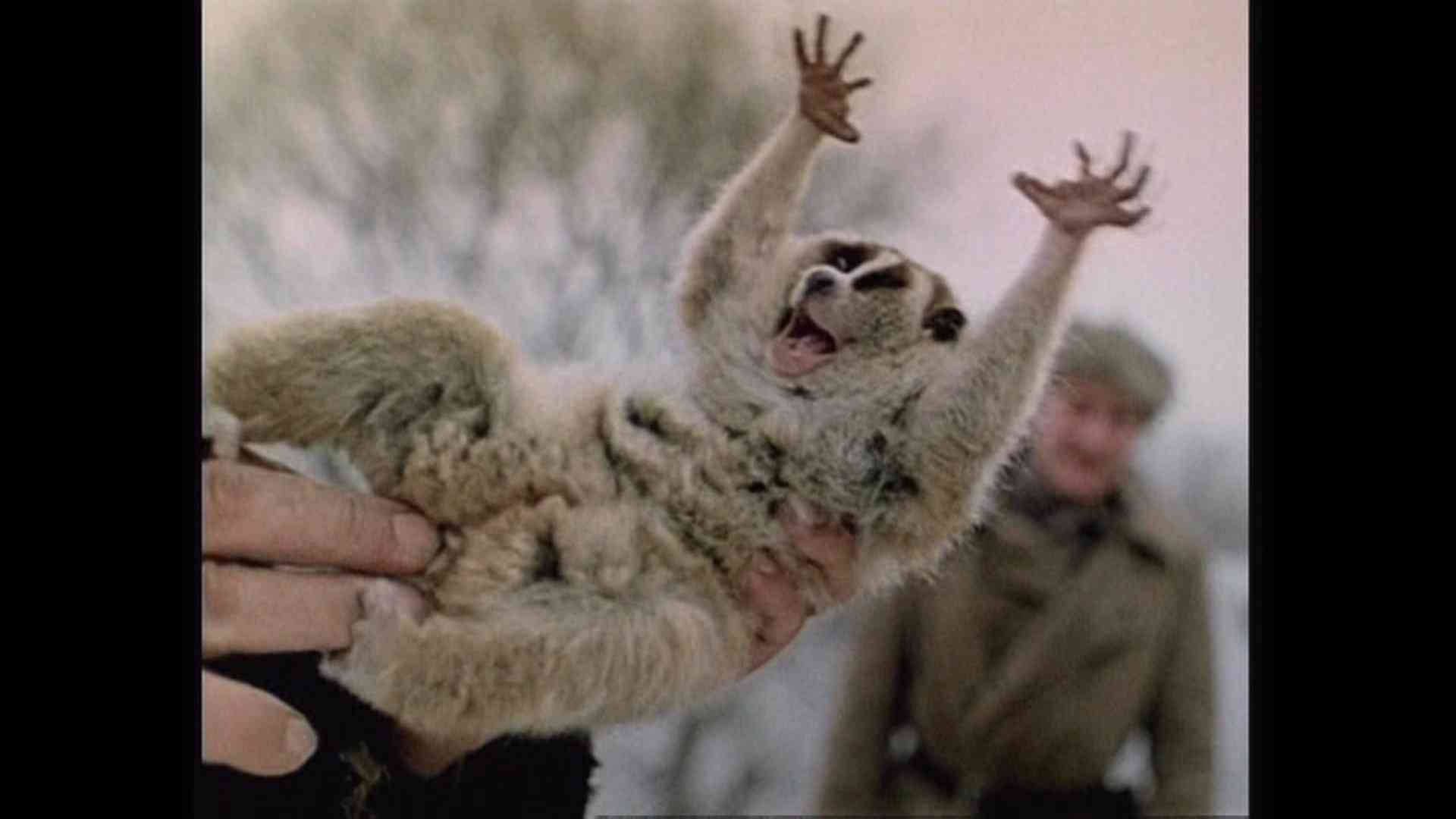 暗い気持ちになる映画