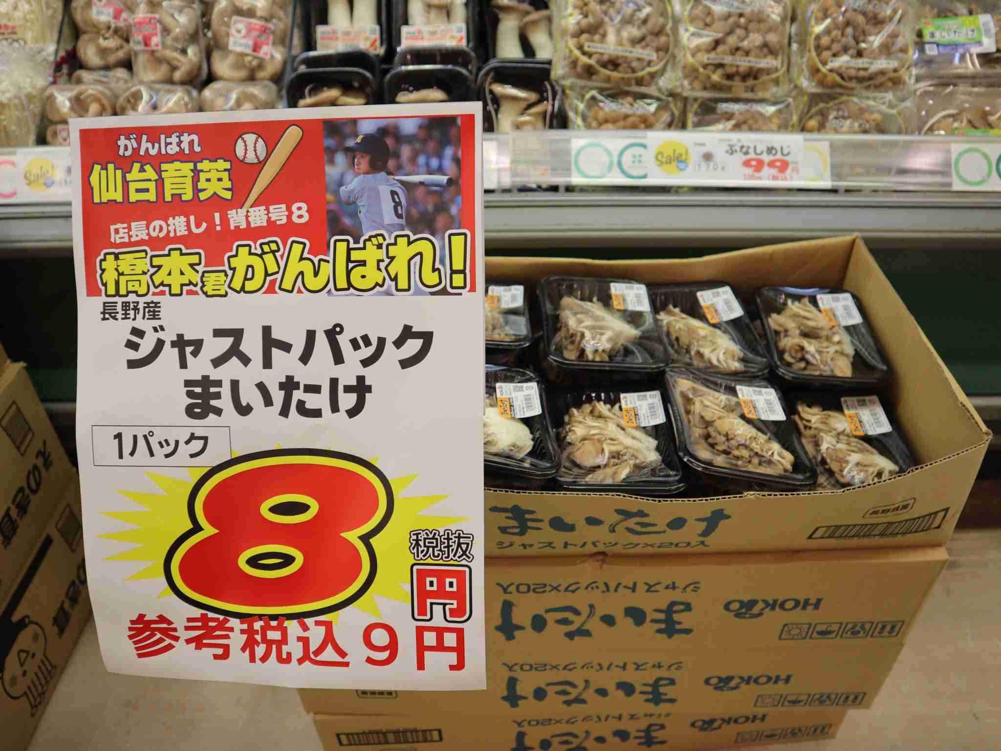 【実況・応援】第105回全国高校野球選手権大会　13日目・準決勝