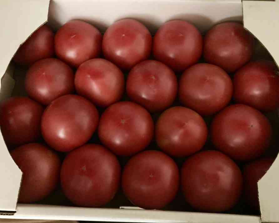 【今日は野菜の日】好きな野菜