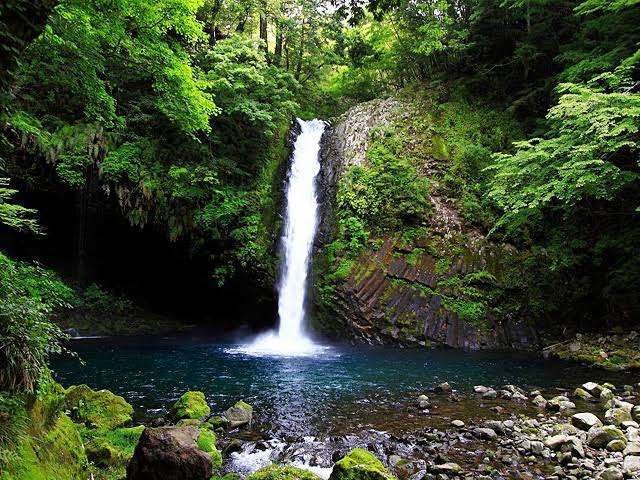 【ドラマ/映画】「美しい彼」を語ろう Part10