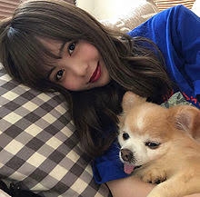 昭和〜平成初期のその辺の犬あるある