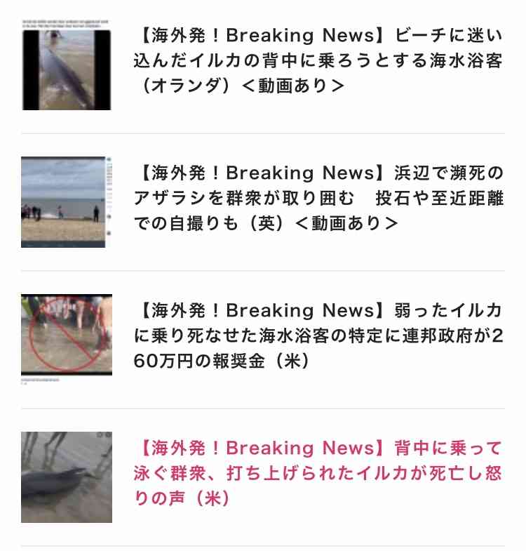 SNSの写真撮影のために浅瀬で捕まえられたイルカの赤ちゃん、息絶える（米）