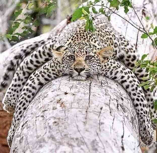 お盆早々、体調不良の人～