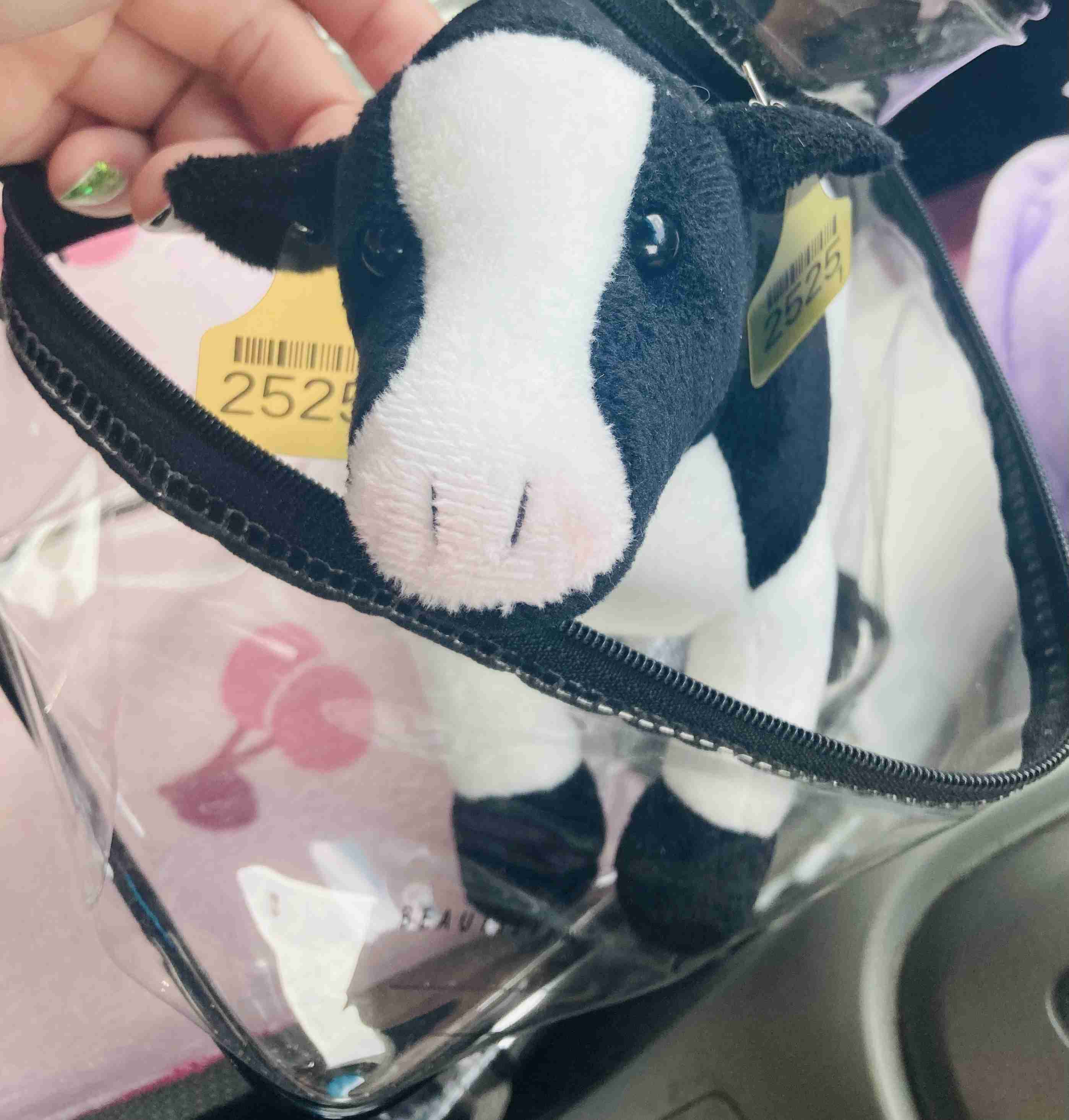 ぬいぐるみ 旅行 連れて行く ちいかわ観光 旅行いきたい