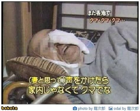 女性「クマ、クマ」頭から血を流して死亡…腕に爪でひっかかれたような傷