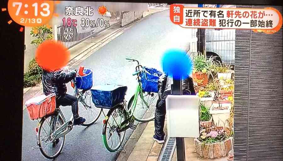 子どもが育てた花の苗が無残な姿に…花泥棒に非難殺到　被害者怒り「器物損壊、窃盗で調べます」