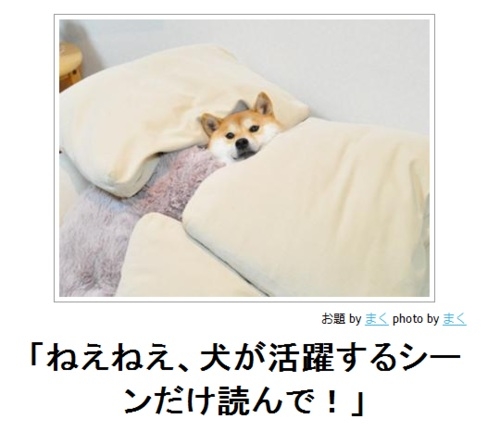 【ネタ】誰かが犬の気持ちになって答えてくれるトピ