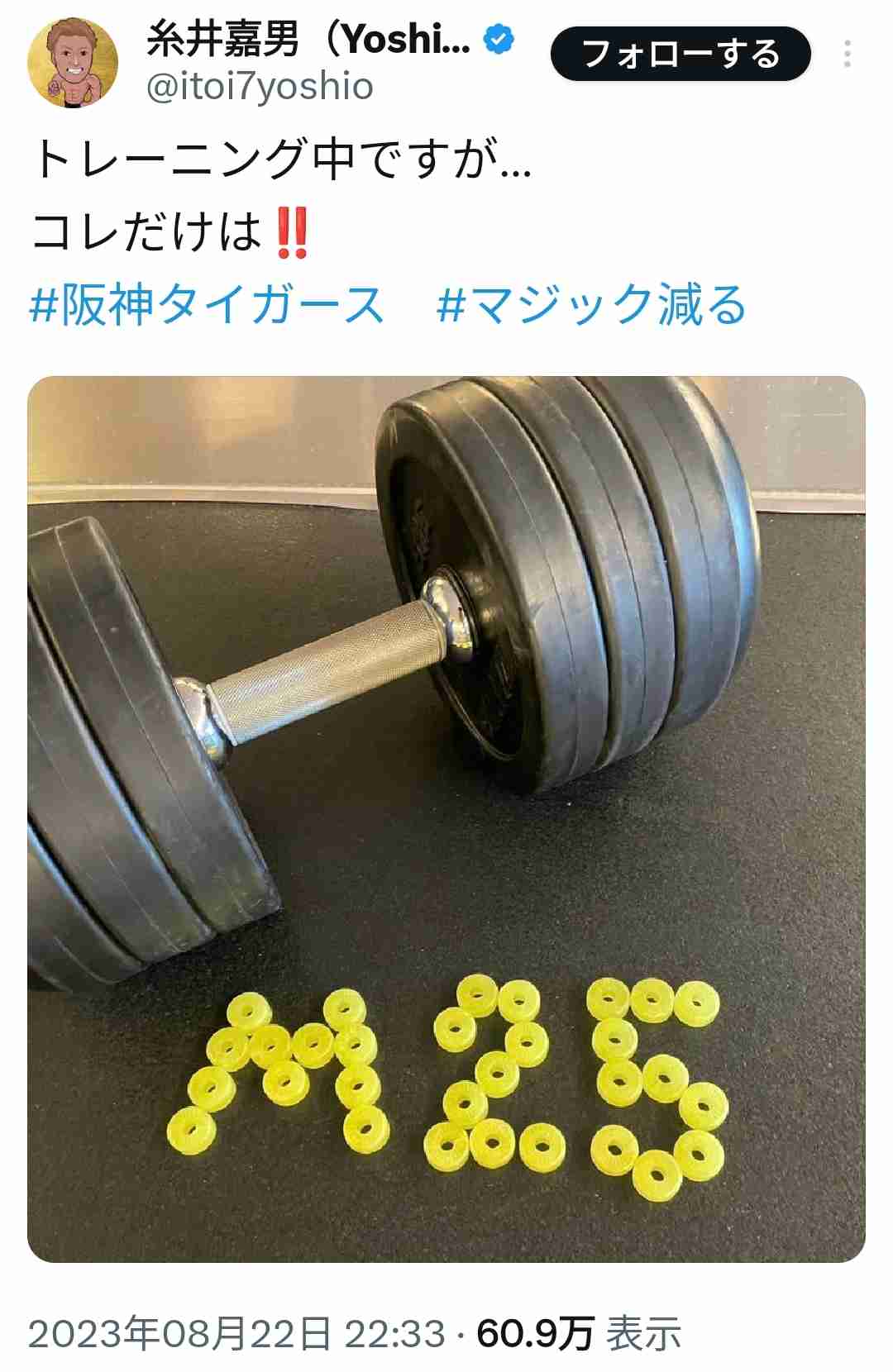 阪神タイガース応援トピ！！