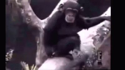 好きな仕草教えて!
