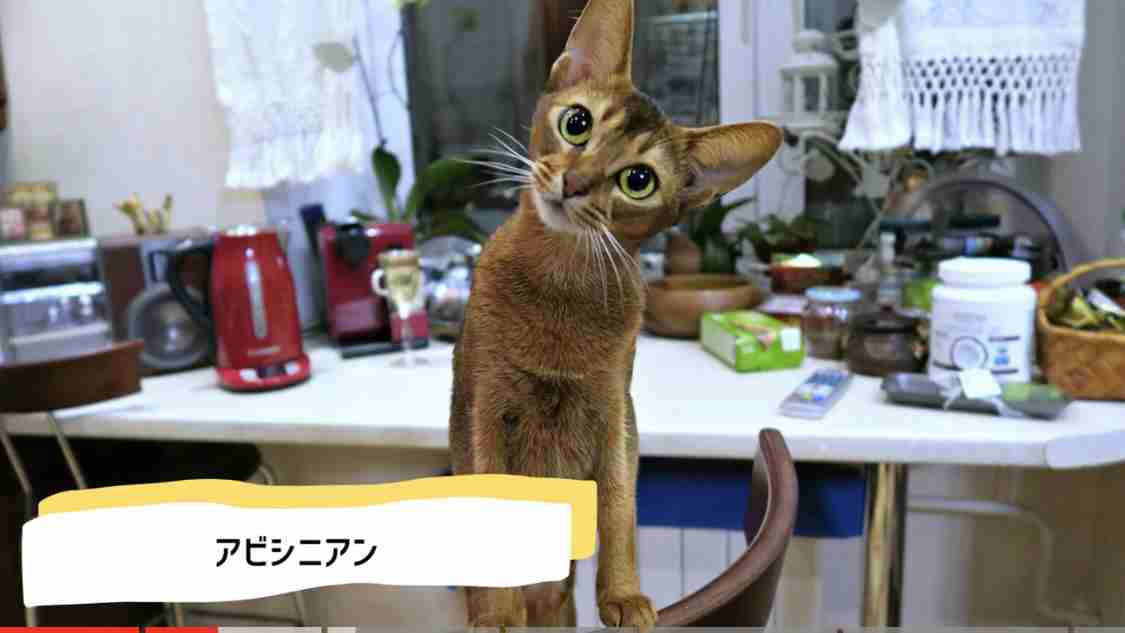 好きな仕草教えて!