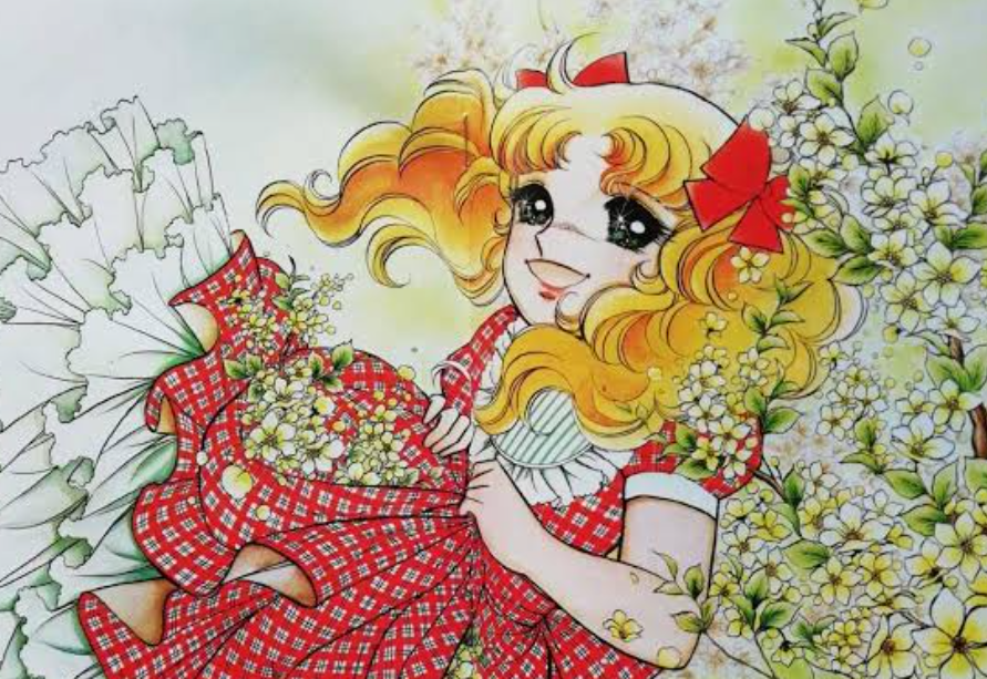 アニメより漫画の方が面白いと思う作品