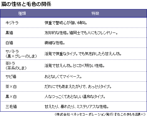 猫の柄と性格についてお話ししたい