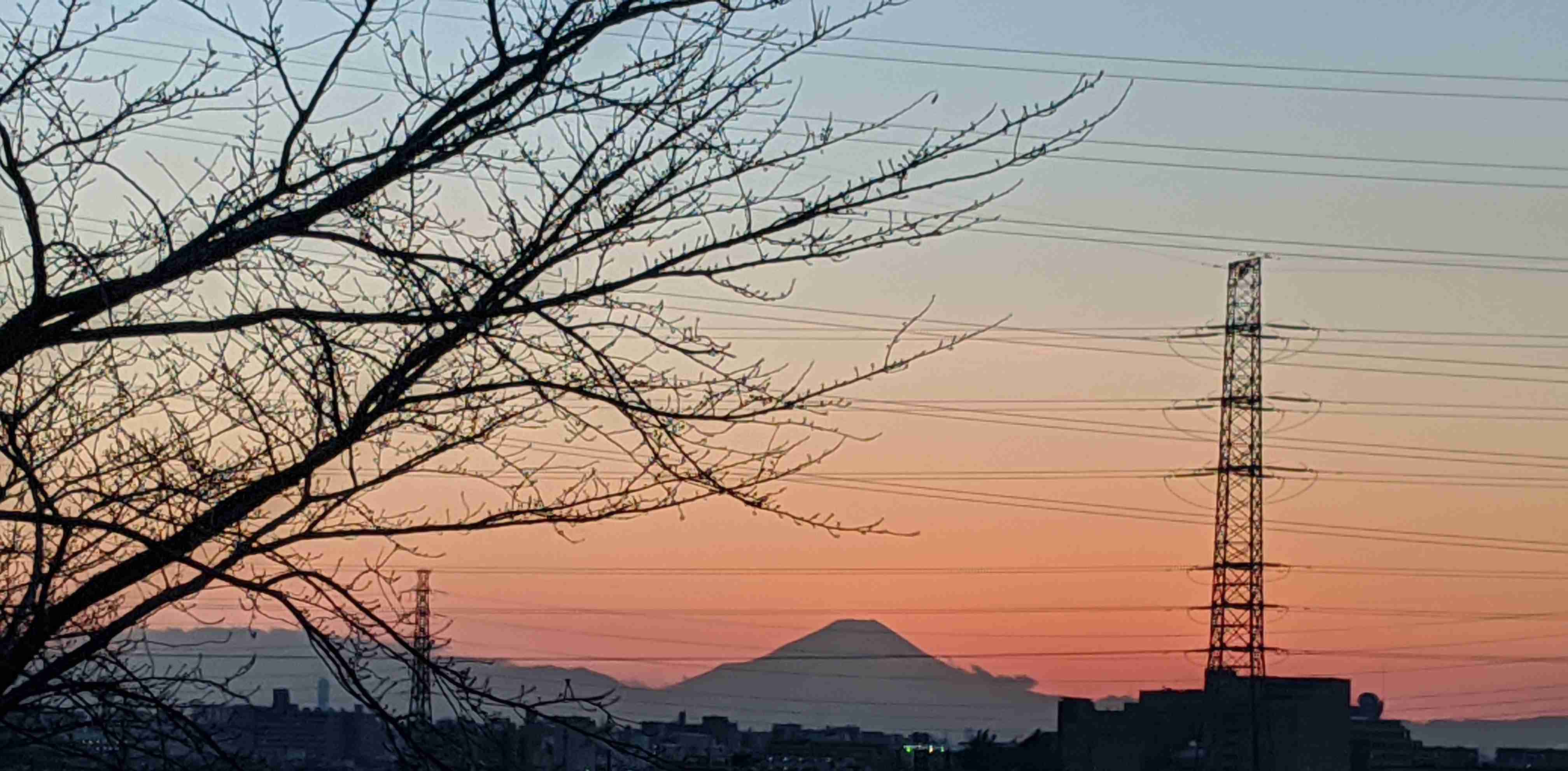 景色がいい家に住んでる人