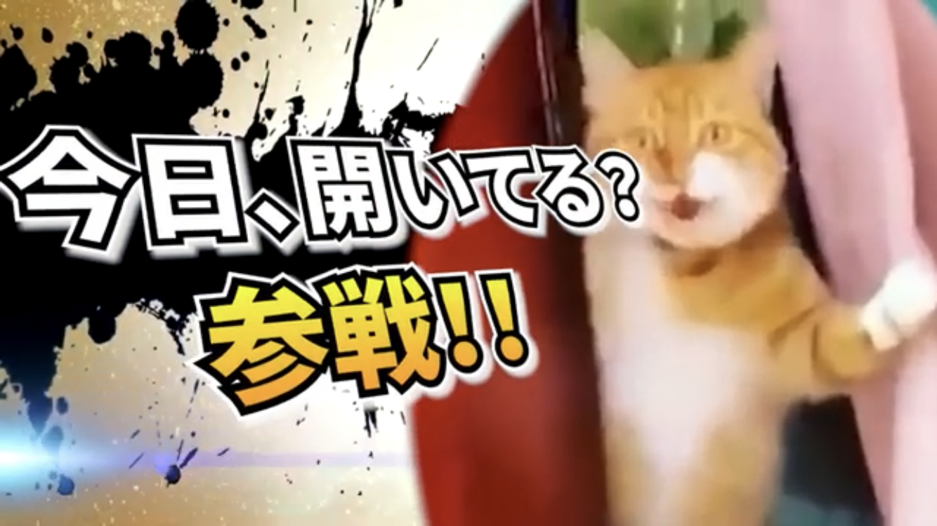 動物画像に生活感溢れるセリフを乗せるトピ