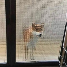 社交不安障害の人いる？