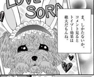 ホテルのベッドに猫が排泄も...そのまま撮影続行　「さすがに引いた」人気YouTuberに批判殺到→動画非公開に