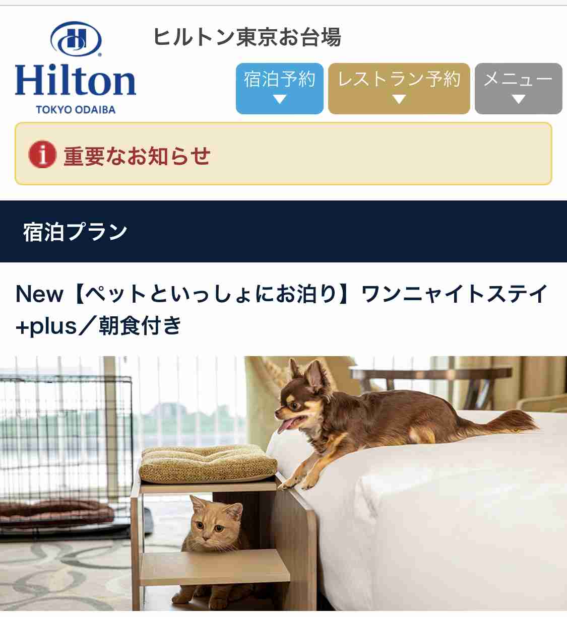 ホテルのベッドに猫が排泄も...そのまま撮影続行　「さすがに引いた」人気YouTuberに批判殺到→動画非公開に