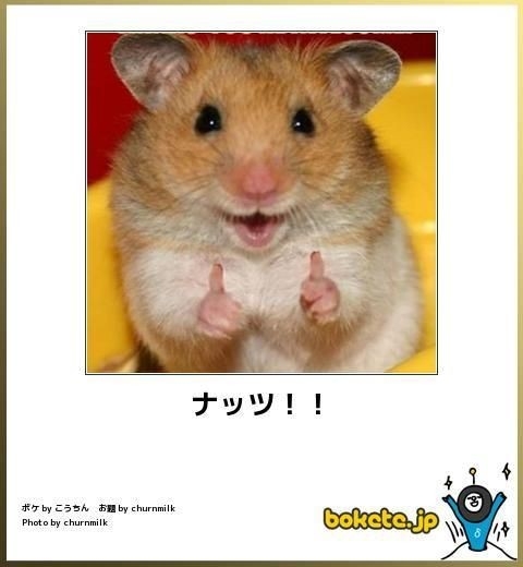 ピーナツバター　🥜