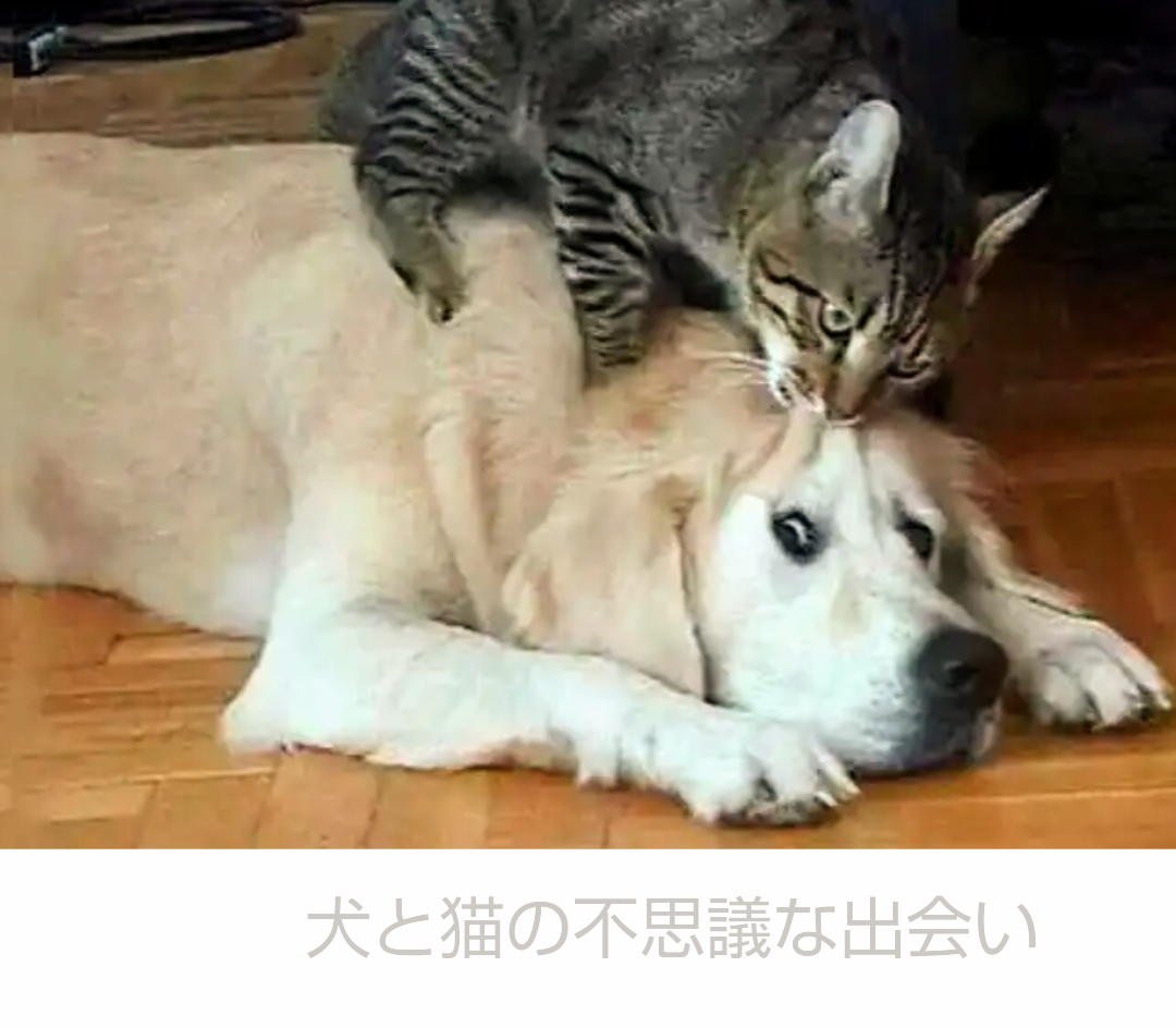 自分に似てる男性を貼るだけの駄トピ Part3