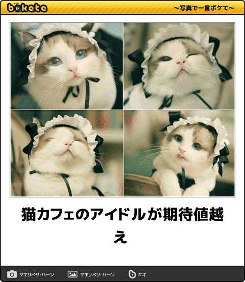 もしかして一部のガル民には役立つかも?なお知らせをするトピ
