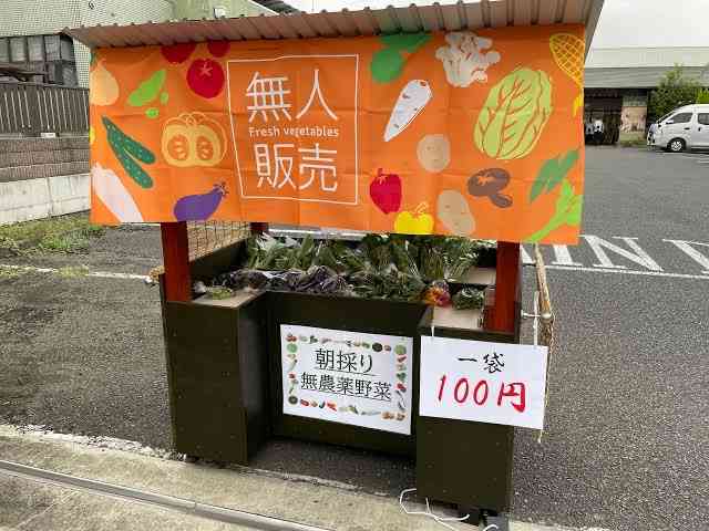 性善説で生きている人